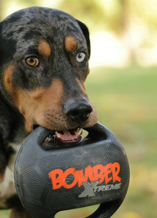 Bomber Xtreme by Zeus