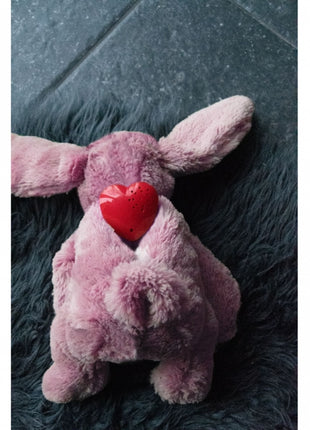 Cozy Dog Bunny mit Herzschlag und Wärmekissen