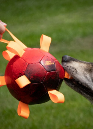 Dog Comets Ball Hypernova - Orange