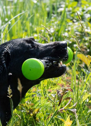 Dog Comets Meteor Wurfstock