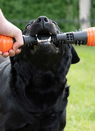 Dog Comets Meteor Wurfstock