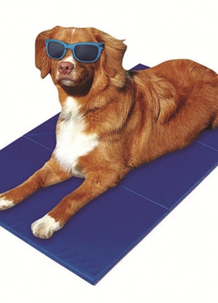 Pet-Star Kühlmatte