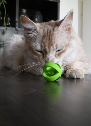 Crazy Cat Wacky Wobbler Grün