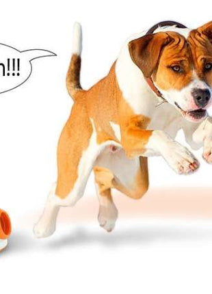 Doggy Fun Ballwurfmaschine