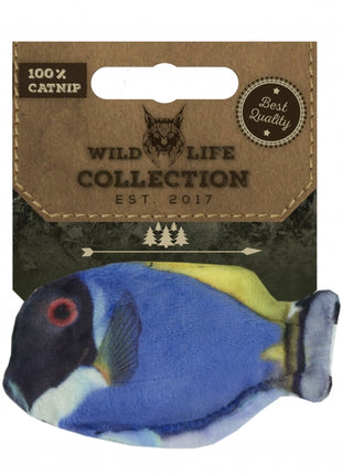 Doktorfisch mit Catnip