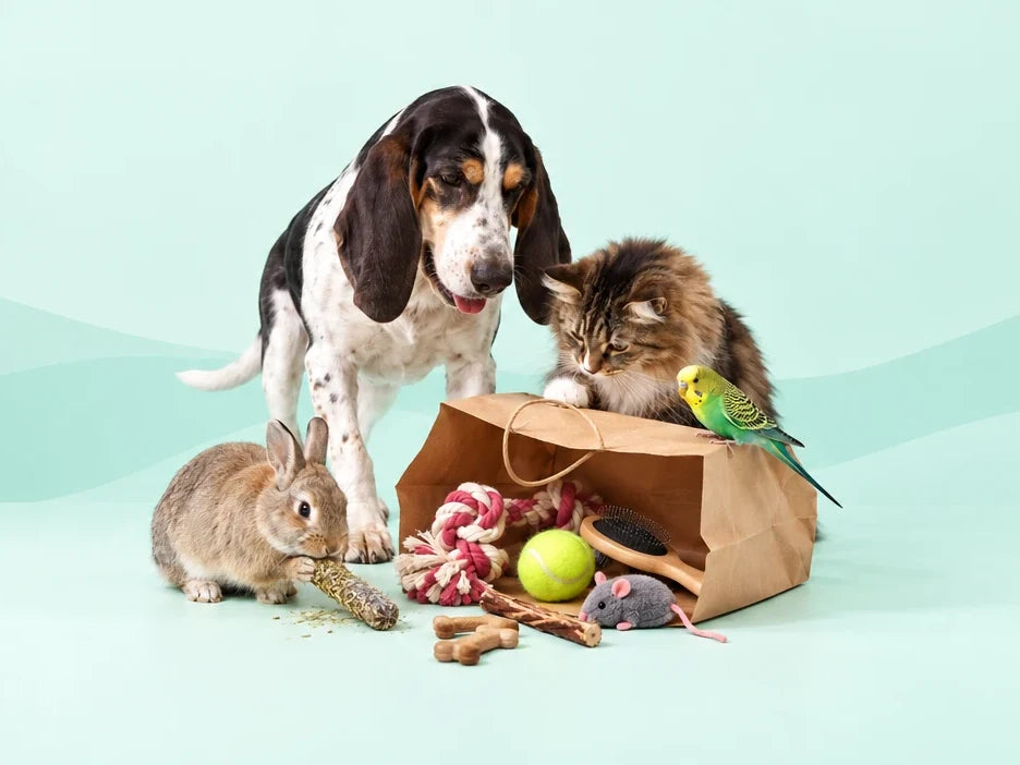 Hund, Katze, Kaninchen und Wellensittich mit Gratisprodukten aus einer Papiertüte