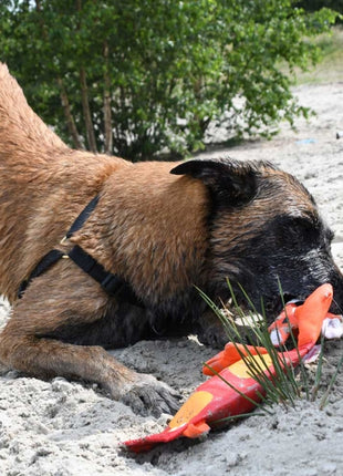 Hozies Trixy Trumpet aus Feuerwehrschlauch