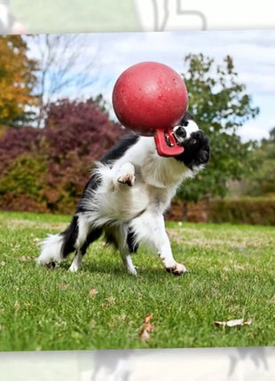 Jolly Tug-n-Toss Bosbessen M (15 cm)