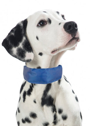 PROCYON Kühl-Bandana für Hunde