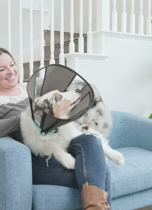 Zenpet Procone