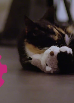 Robocat Papegaai