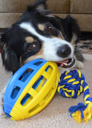 PETSPORT Flea Flicker Football