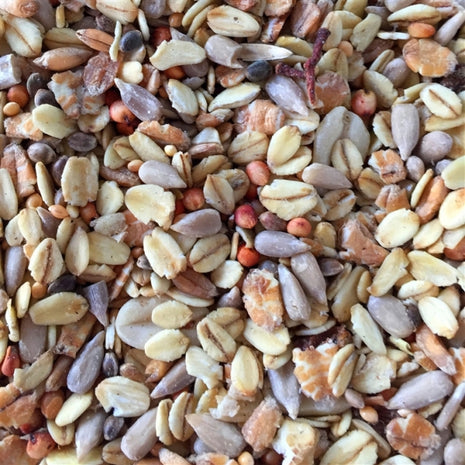 Pfiffikus Wildvogelfutter schalenlos 3kg Eimer