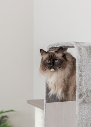 Trixie Kratzbaum Marina