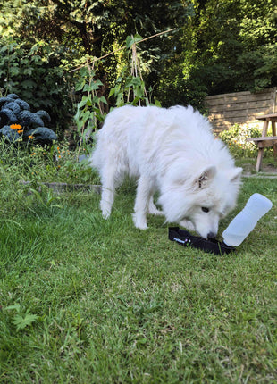 Petgear Reisetrinkflasche – Wasserflasche und Wassernapf in einem für unterwegs