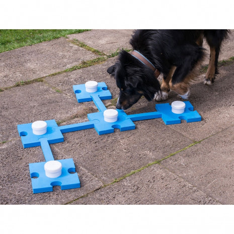 PROCYON Schnüffelspaß
