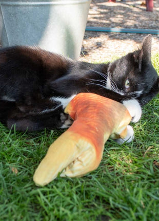 Robocat Goldfisch - 30 cm
