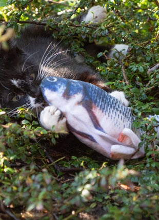 Robocat Lachs - 30 cm