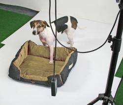 Pet-Star Bett/Kissen MONTANA, 72 cm