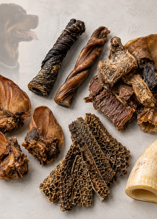 Fidello Kauwpaket für starke Hunde – robuste Kausnacks Vorteilspaket für große Rassen