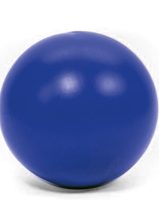 PROCYON Treibball