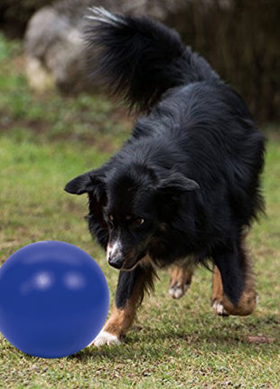 PROCYON Treibball