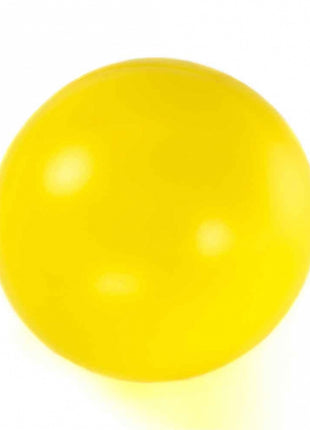 PROCYON Treibball