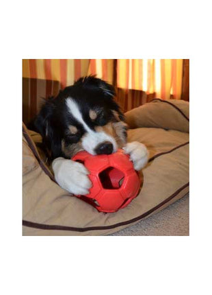 PETSPORT Turbo Kick Soccer Ball