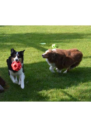 PETSPORT Turbo Kick Soccer Ball