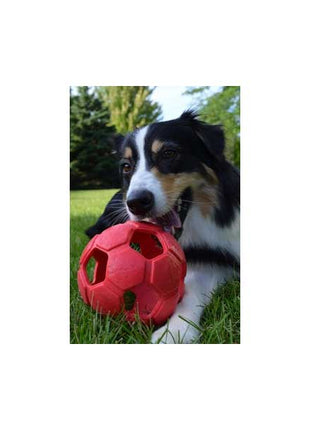 PETSPORT Turbo Kick Soccer Ball
