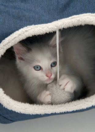 Vesper Katzen-Tunnel