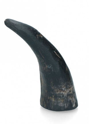 Viking Whole Horn