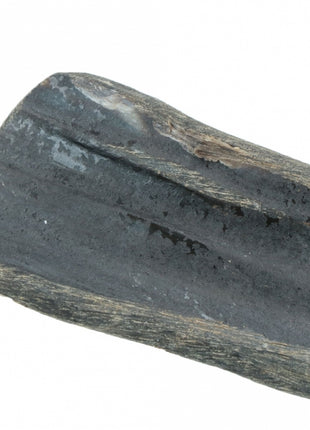 Viking half Horn