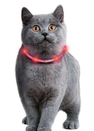 Karlie Visio Light Cat LED-Schlauch mit USB - Grau