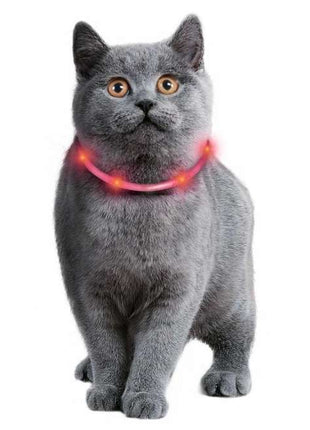 Karlie Visio Light Cat LED-Schlauch mit USB - Rot