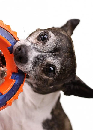 NERF DOG Mega Tuff TPR Spike Ring