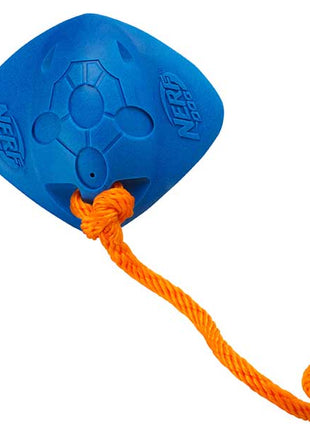 NERF DOG Super Soaker Rochen