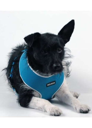 Pet-Star Softgeschirr / Netzgeschirr - Blau - M