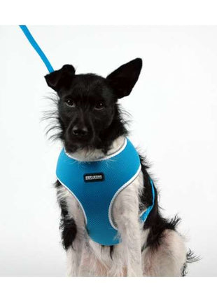 Pet-Star Softgeschirr / Netzgeschirr - Blau - M