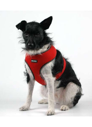 Pet-Star Softgeschirr / Netzgeschirr