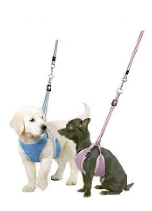 Karlie Flamingo Puppy Geschirr mit Leine - Blau