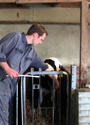 Excellent Ener Bolus Schaap & Geit