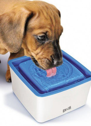Zeus Mini-Trinkbrunnen für kleine Hunde